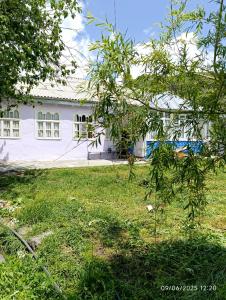 Κήπος έξω από το Green yard Home