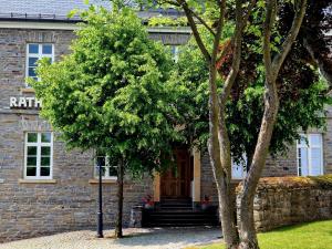a brick house with a tree in front of it at Altstadt Quartier Hallenberg - Modernes Ferienappartment in Hallenberg