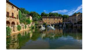 a group of birds flying over a body of water at Pasquina and the Val d'Orcia in Vivo dʼOrcia