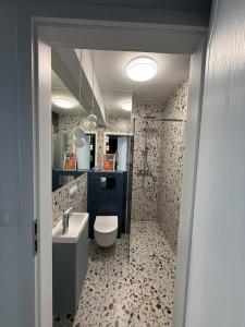 a bathroom with a toilet and a sink and a shower at VINCI apartment in Krakow +18 photos