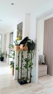 Billede fra billedgalleriet på Appartment Lodged Mamma Maria i Mattarello + 92 billeder