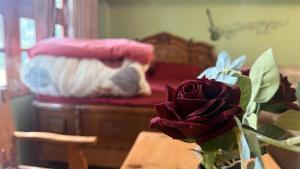 Gallery image of The velox Traditional Home Stay Kalpa in Kalpa