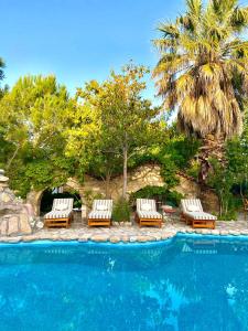 a swimming pool with chairs and a palm tree at Kemerbag 29 Guest House 12 Yaş Üstü in Bozcaada