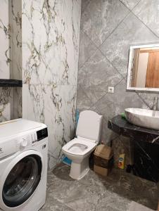 a bathroom with a washing machine and a toilet at Апартаменти Ашан Автовокзал Стрийська in Lviv