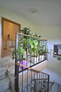 Postel nebo postele na pokoji v ubytování Villa Bravic
