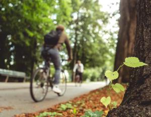 Un uomo che va in bicicletta lungo un sentiero di Waters Edge Luxury Lakeside Studio a Rocky Point