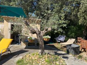 a tree sitting in a yard next to a bench at Petite Maison provencale in Lagnes +3 photos