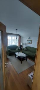 a living room with a green couch and a table at Peace & green in Žabljak
