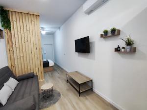 een woonkamer met een bank en een tv bij Apartamento Río Turia C in Valencia