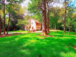 a house in the middle of a green yard with trees at Ekebo Guesthouse in Svalöv +10 photos