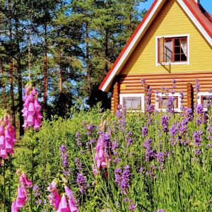 Aed väljaspool majutusasutust Lootuse Spa