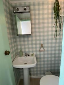 a bathroom with a sink and a mirror and a toilet at El Mirador de Pablo in Alcalá de los Gazules