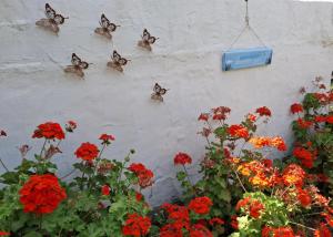 Ogród w obiekcie Flower house