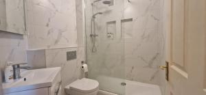 a bathroom with a shower and a toilet and a sink at Tidy Spacious & Quiet 2BD on Edge of Cork City in Cork