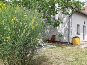Vonkajšia záhrada v ubytovaní Holiday home in Gyenesdias - Balaton 43113