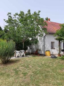 Vonkajšia záhrada v ubytovaní Holiday home in Gyenesdias - Balaton 43113