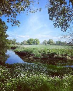 a small river in a field with white flowers at Little Brook Glamping in Salfords +63 photos