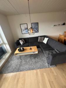 Χώρος καθιστικού στο Apartment Øvre Tråstølen - Voss