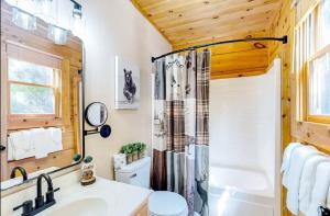 a bathroom with a shower and a sink at Grandpa John Cabin - Hot Tub, Game Room in Sugar Grove +24 photos