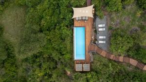 an overhead view of a swimming pool in a forest at Mahali Mzuri in Aitong