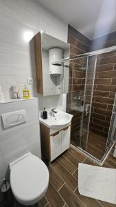 Koupelna v ubytování Apartman Mima