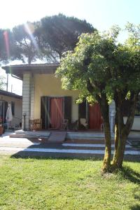 a small tree in front of a house at Casolare De Ranieri - appartamento in villa bifamiliare a 500m dal mare in Marina di Massa
