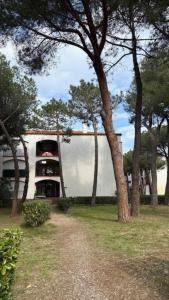 a group of trees in front of a building at Beach cabin studio in Argelès-sur-Mer