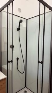 a shower with a shower head in a bathroom at Beach cabin studio in Argelès-sur-Mer