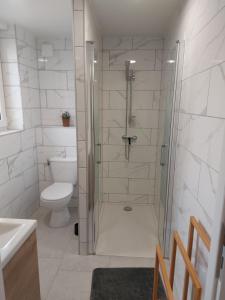 a bathroom with a shower and a toilet at Gite du soleil in Sémeries