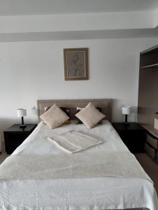a bedroom with a large bed with two tables and two lamps at Vernescu 4 Luxury Living - Terrace Central Chic in Bucharest