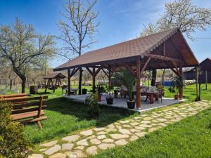 a pavilion with a table and benches in a park at Pensiunea Cocoș in Spulber
