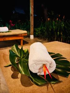 una toalla encima de una planta verde en Orosi al Natural Hotel Boutique, en Orosí