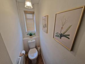 a bathroom with a toilet and a picture on the wall at Lake View Cottage in Alford +12 photos