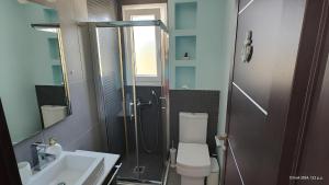 a bathroom with a shower and a toilet and a sink at Seafront Villa Christina in Kanatádhika