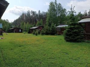 a field of grass with houses and trees at Domki Sosnowa dolina We wielu in Wiele +7 photos