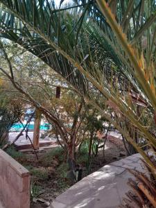 Der Swimmingpool an oder in der Nähe von Hotel-Camping Takha Takha