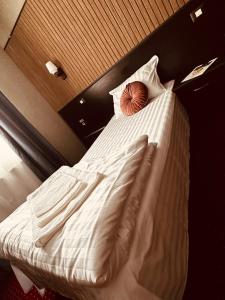 Voodi või voodid majutusasutuse Nowad Hotel toas