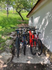 a group of bikes parked next to a building at Wild Glamping Cornereva in Cornereva