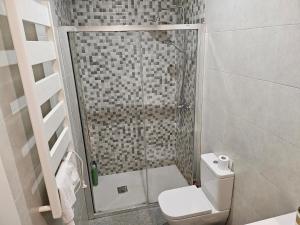 y baño pequeño con ducha y aseo. en Hogar en Lavapies 11, en Madrid
