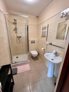 a bathroom with a shower and a sink and a toilet at Gościniec pod Kłosem in Kłos +37 photos