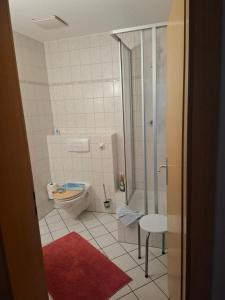 a bathroom with a toilet and a shower and a red rug at Ferienwohnung Morgensonne in Ueckeritz +24 photos