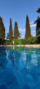 a pool of blue water with trees in the background at Villa Carrara Salvadori in Grezzana