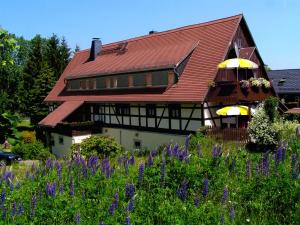 Zahrada ubytování Landhaus Sorgenfrei