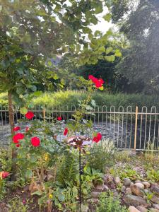 Imagen de la galería de Aabach Stay, en Niederlenz