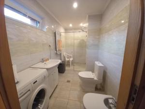 a bathroom with a toilet sink and a washing machine at Poilsis Giruliuose in Klaipėda