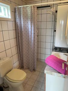 a bathroom with a toilet and a shower curtain at Retro hus med fin beliggenhet in Haddal