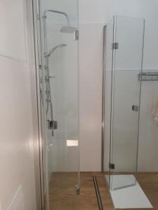 a shower with a glass door in a bathroom at Casa Camelia - Elegant Palace with Terrace - Conversano in Conversano +19 photos