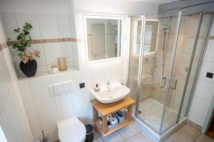 a bathroom with a shower and a sink and a toilet at Ferienhaus Schlossberg mit Infrarot-Kabine und Stellplatz in Quedlinburg