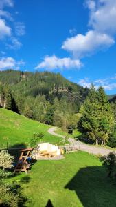 a picnic table and a bench in a field at Ferienwohnung Anika in Kleinlobming +5 photos