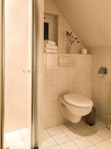 un bagno con wc e doccia di Holiday home for rent near swimming pool and golf course a Delden